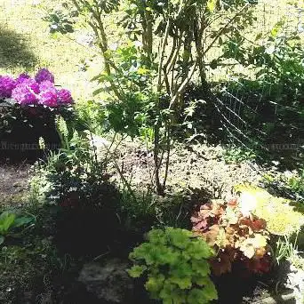 et Jardins Woods