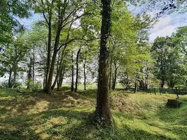 Photo de Bois de Wallieux