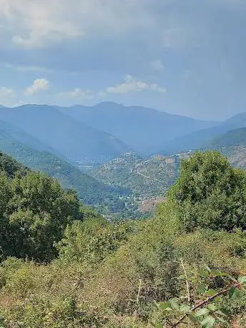 Photo de Fontanile della Cona