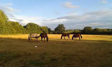 Photo de Ecuries des 3 Sources