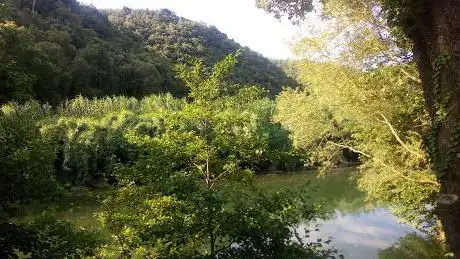Photo de Lac des Mimosas