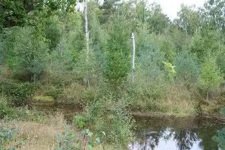 Photo de Saltoun Big Wood