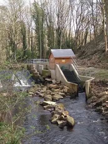 Photo de Loxley Valley Trail - Damflask
