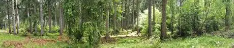 Wegegabelung