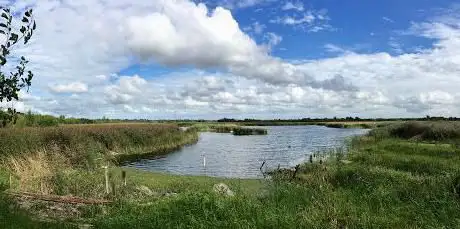 Strumpshaw Fen