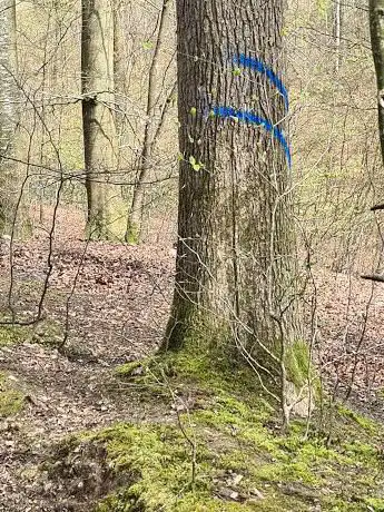 Côté 2 traits