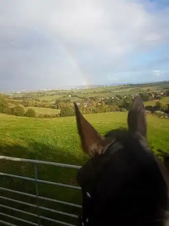Photo de Hyperion Stud Farm