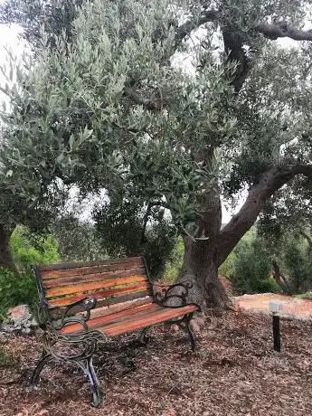 Photo de Masseria La Chiusa
