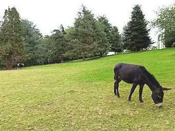 Photo de Parc écureuil