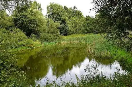 Photo de Natuurreservaat Zammelsbroek