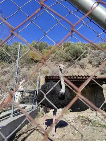 Photo de Caminito de la acequia Canillas