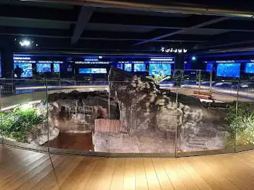 Aquarium Tropical