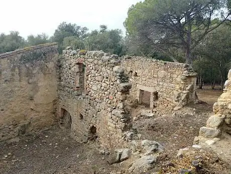 Casa d'en Bosc Ruins