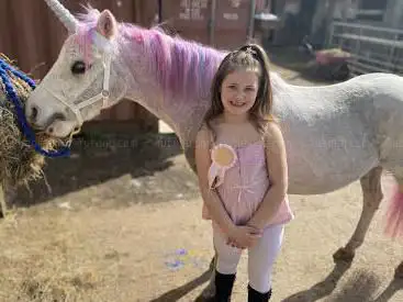 Photo de Pampered Ponies