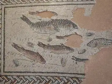 Photo de MuséAl.