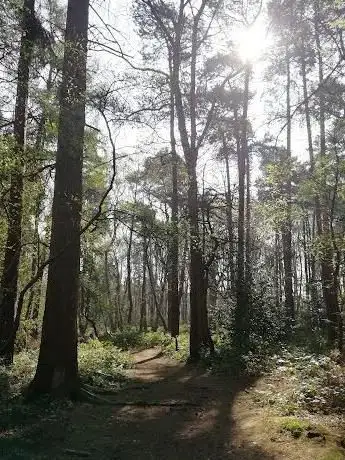 Photo de Cottage Plantation