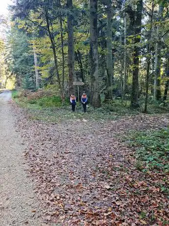 (Rundweg) Biotop Langenthal