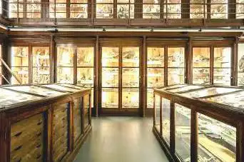 Museum of Zoology Doderlein