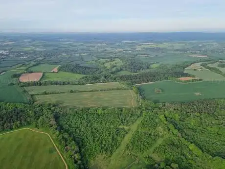 Photo de Hot Air Balloon Flights from Alton in Hampshire with Virgin Balloon Flights