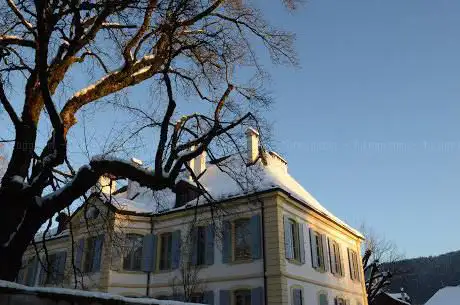 Photo de Fondation Burkhardt-Felder Arts et Culture