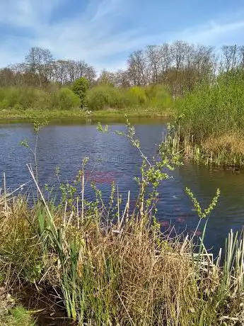 Patersbos