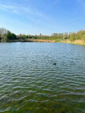 Parc Tredelerch Lake