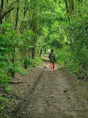 Photo de Galgenveld wandelroute