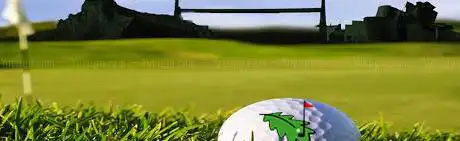 Photo de Federación de Golf de Bizkaia-Bizkaiko Golf Federazioa