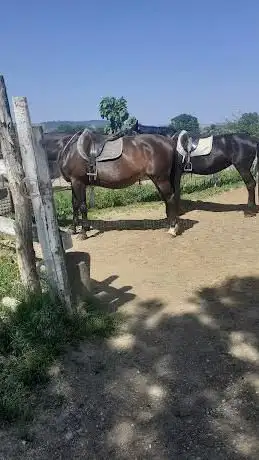 Photo de Circolo Ippico La Badia di Ennio Serinaldi