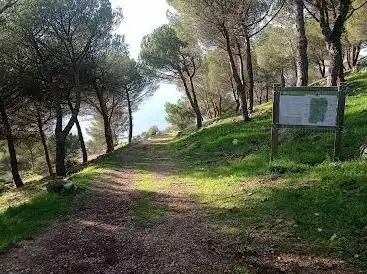 Park