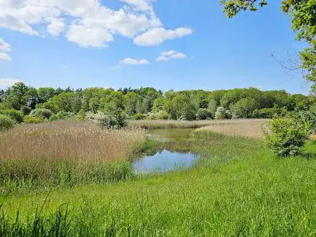 Photo de Pedley's Wood