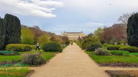 Photo de Jardin de roches et de pivoines