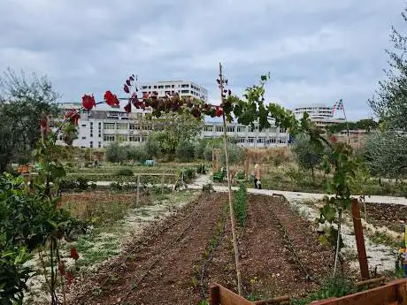 Photo de Orto Botanico dell'Università di Bari