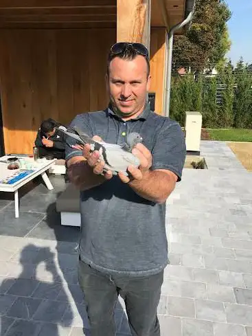Photo de Pigeon Paradise