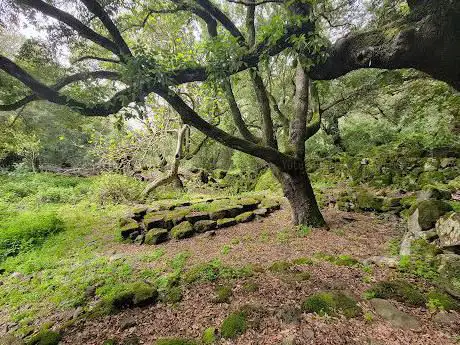 Parco Comunale Cracchera