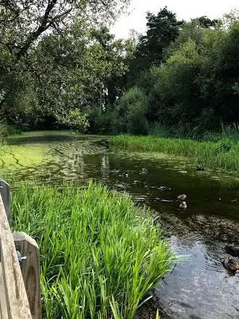 Photo de Hollybrook Park Pond
