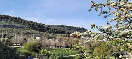 Photo de Cerro de los Lirios