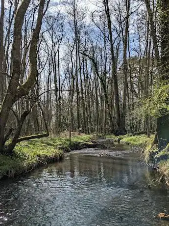Photo de National Trust - The Chase