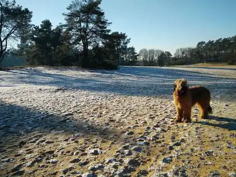 2 Sterrenplekje