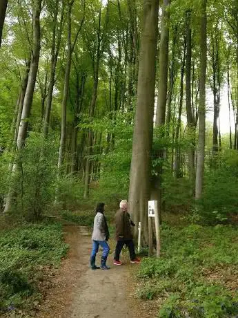 Koppenbergbos