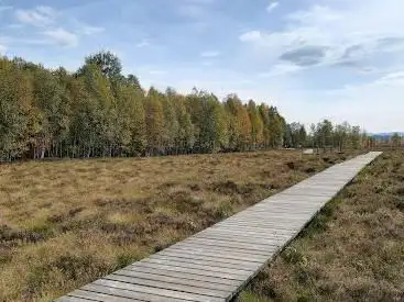 Photo de Tourbières des Ponts-de-Martel