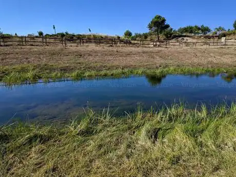 Photo de La Balsilla