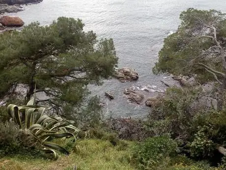 Photo de Pedra de Rapinya