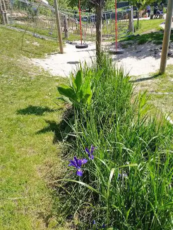 Photo de Dukes Meadows Park