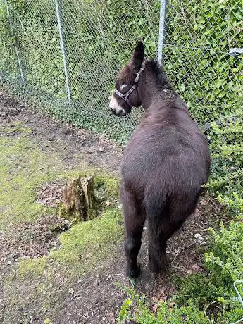 Photo de Inverclyde Walled Garden and Pets Corner