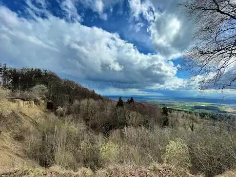 Photo de Rutsch am GEHRENBERG