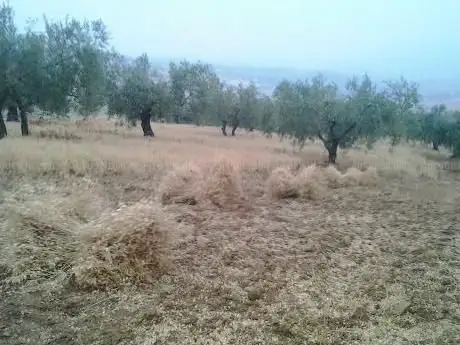 Photo de Campo Marga