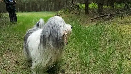 Photo de Leśnia Ścieżka przyrodnicza