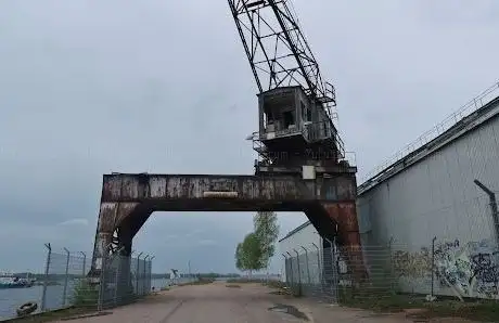 Photo de The Cranes