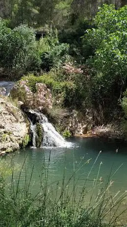 Photo de Ãrea Recreativa Arroyo Benizar